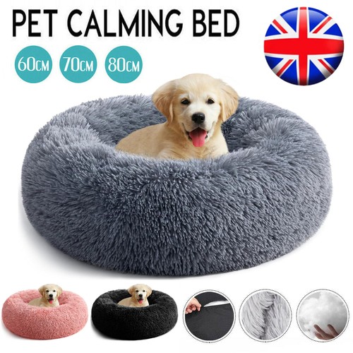 Plush donut dog - plush, bed