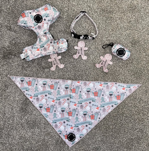 Bnwt poppy ted pink - bnwt, a