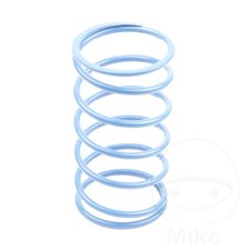 Variator Spring Blue 22Kg 070196 For Malaguti Yesterday 50 98-01