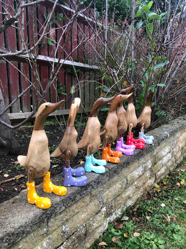Ducks colours in wellies - ducks,