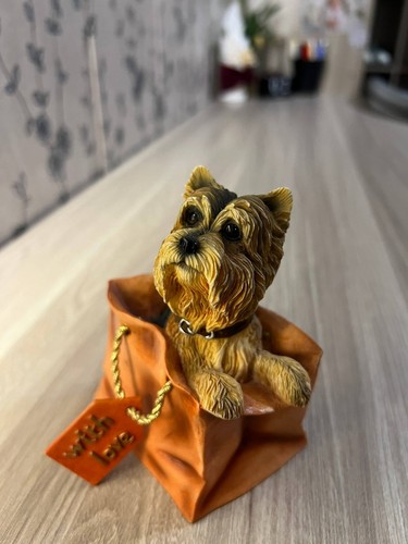 Yorkshire terrier yorkie dog - yorkshire,