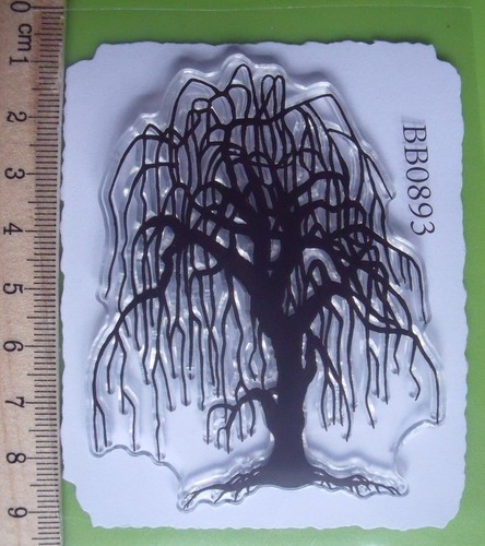 Medium weeping willow - medium,
