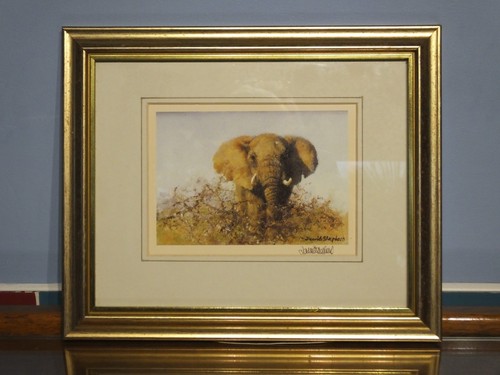 David shepherd african - shepherd, "african
