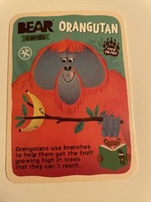 Bear Yoyo Cards - Animals
