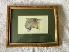 Striking Wildlife Animal Painting of a Female Lion by renowned Wildlife Artist