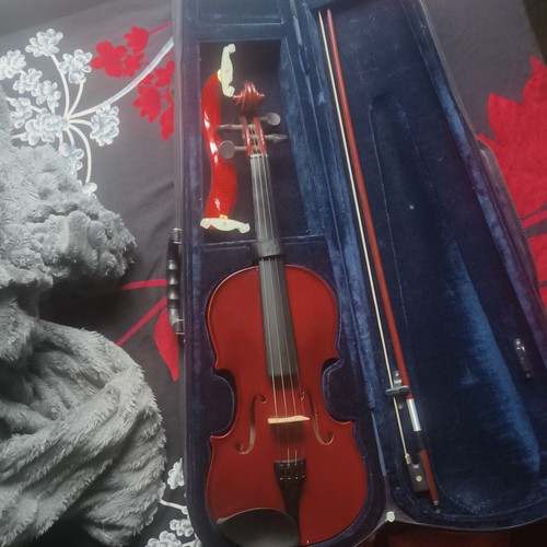Primavera acoustic violin - 4/4,