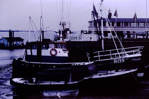 1981 r155 seamack - seamack, shipping