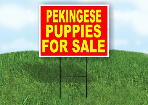 Pekingese puppies for sale - puppies,