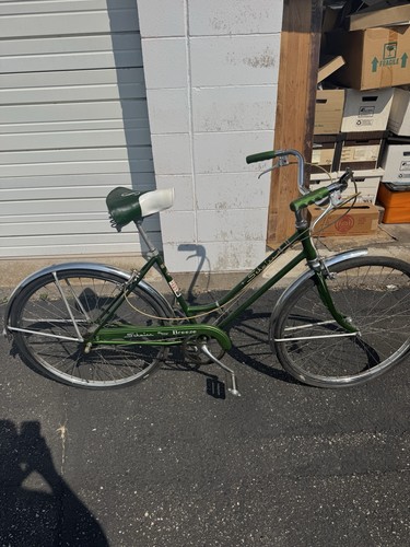 Schwinn vintage green cruiser - vintage,
