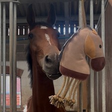 Ruggles Horse Stable Toy | Boredom buster for horse pony donkey -  Pony