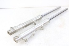 FORKS LEG - REGAL RAPTOR