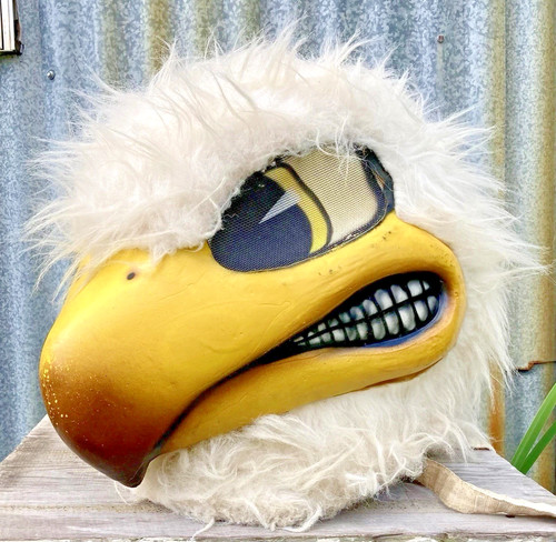 Vtg eagle hawk mascot - vtg, head