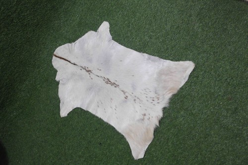 New goat hide rugs - goat,
