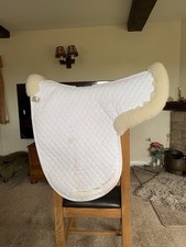 Griffin High Wither Full Wool