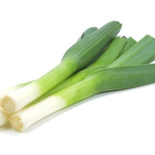 Vegetable Plants - Leek