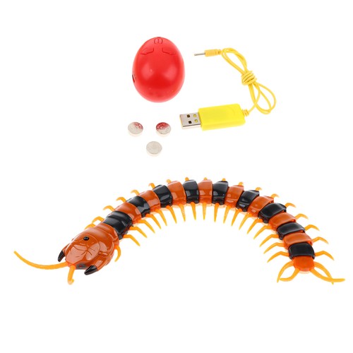 Halloween remote control - halloween,