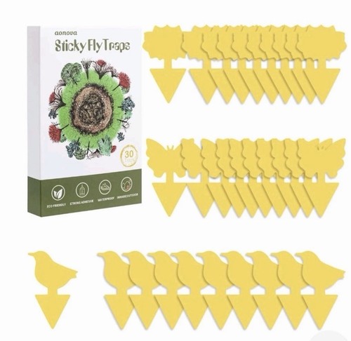 Aonova fruit fly traps - fruit,