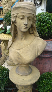 Arabian bust - arabian,