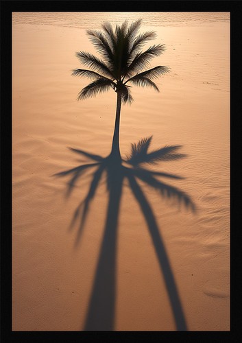 Bold tropical beach framed - tropical,