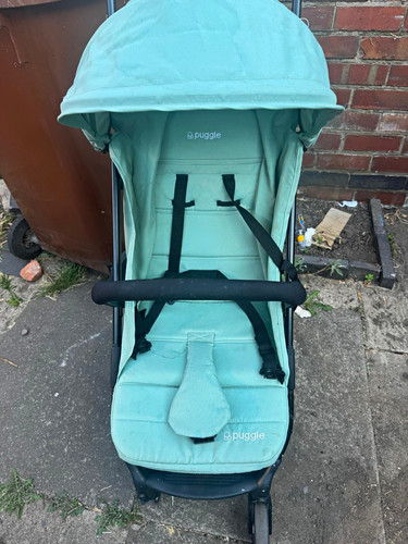 Puggle mint green pushchair - mint,