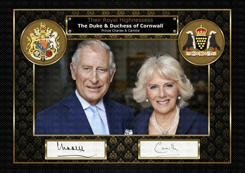 The prince wales - prince, - prince