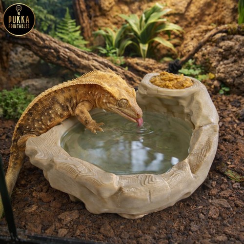 Printed reptile feeding - 3d,
