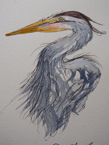 Watercolour bird painting