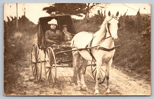 Rppc pretty white - rppc, 4