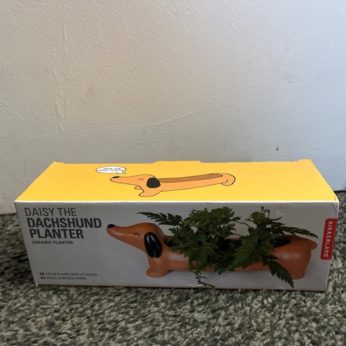 Daisy the dachshund planter - daisy,