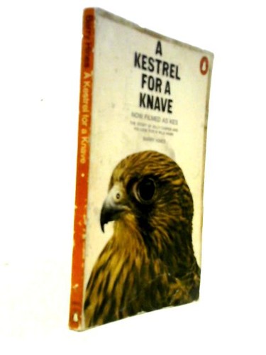 Kestrel for knave barry - kestrel,