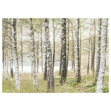 Ikea Bjorksta Birches Trees