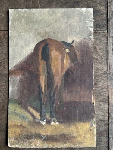 Horse study late 19th - -,