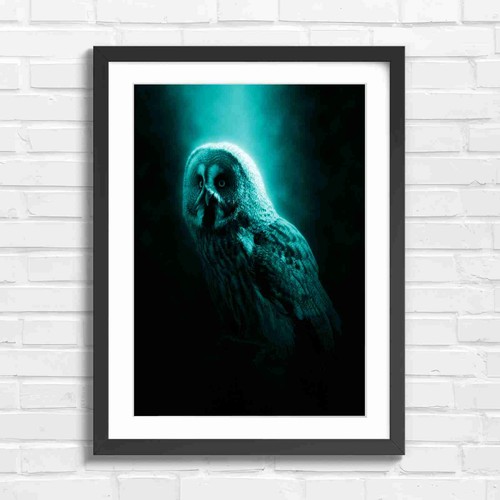 Dramatic great grey - dramatic, owl