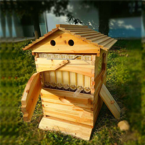 Wooden auto bee hives - auto, honey