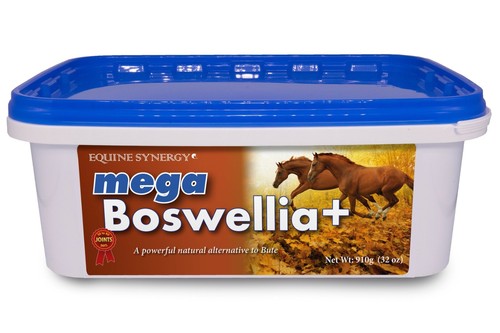 Equine synergy mega boswellia - synergy,