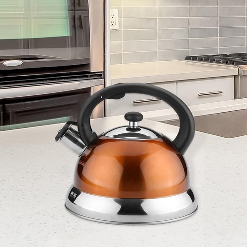 Stove top loud whistling - stove,