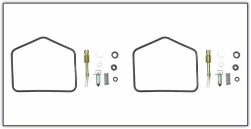 Carb repair kit for - 2x,