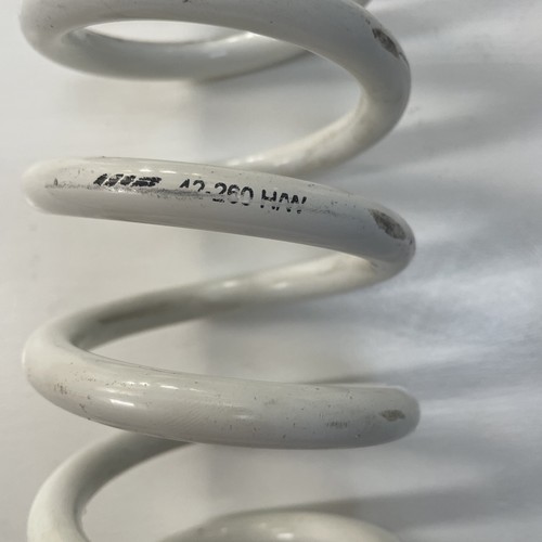 Rear shock absorber spring - wp,