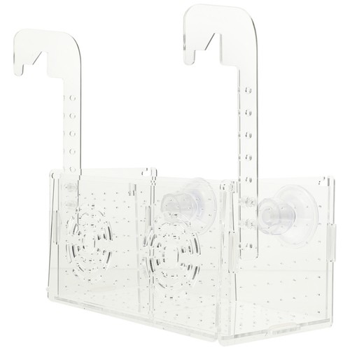 Fish tank hatchery hatching - fish,