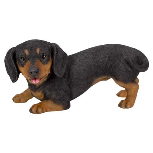 Vivid arts active dachshund - vivid,