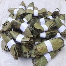 3000+ Dried Soursop LEAVES