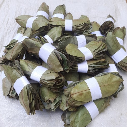 3000 dried soursop - 3000+, leaves