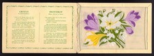 KENSITAS SILK FLOWERS  Postcard Size (Plain Back) - 1934 - Crocus ~ Snowdrop