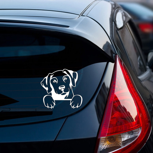 Dog car stickers decals - car, bumper