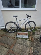 Claude Butler Pine Lake