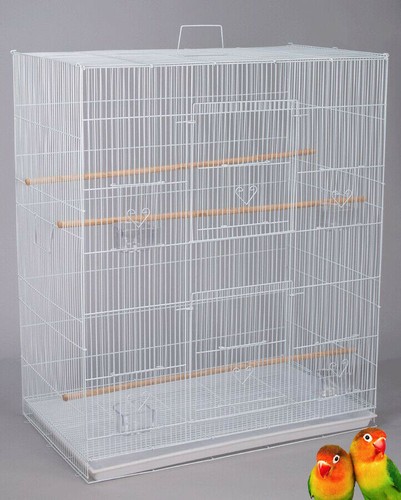 Large breeding flight bird - flight,
