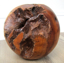 Teak wood root ball - root,