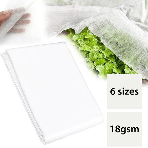 Plant fleece insect cover - plant,