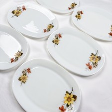 set of 6 vintage JAJ Pyrex Autumn Glory oval steak plates glass 30cm x 22.5cm