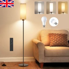 Floor Lamps for Living Room